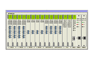 IMUX-500 (COT)